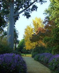 Albury Botanic Garden - Accommodation Broome 0