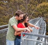 Valley of the Giants Tree Top Walk - Accommodation Broome