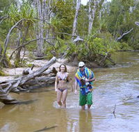 Tjuwaliyn / Douglas Hot Springs Park - Accommodation Broome