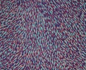 The Gate Gallery - Wollombi - Accommodation Broome 0