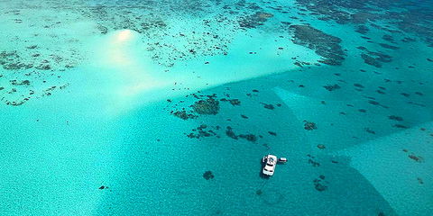 Ocean Free & Ocean Freedom - Cairns Premier Reef And Island Tours - Accommodation Broome 3