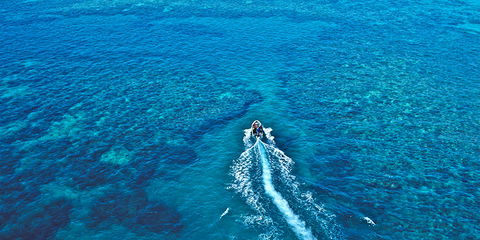 Ocean Free & Ocean Freedom - Cairns Premier Reef And Island Tours - Accommodation Broome 4