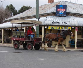 Bathurst Farm Experience - Accommodation Broome 0