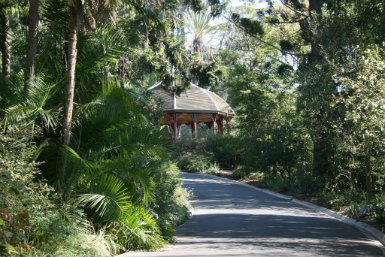 Royal Botanic Gardens Victoria - Accommodation Broome 0
