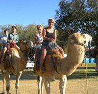 Calamunnda Camel Farm - Accommodation Broome