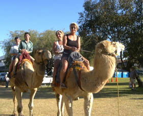Calamunnda Camel Farm - Accommodation Broome 0