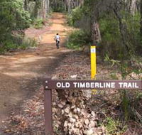Old Timberline and Sidings Rail Trails - Accommodation Broome