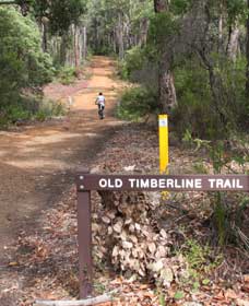 Old Timberline And Sidings Rail Trails - Accommodation Broome 0