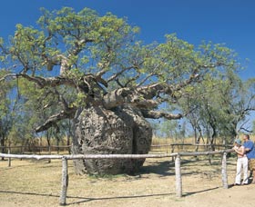 Derby WA Accommodation Broome