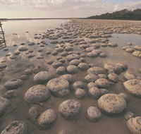 Lake Clifton Thrombolites - Accommodation Broome