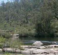 Wellington Discovery Forest - Accommodation Broome