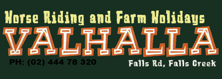 Valhalla Horse Riding - Accommodation Broome 4