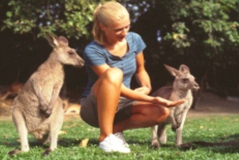 Jungle Tours And Trekking - Accommodation Broome 1