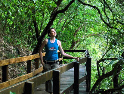 Jungle Tours And Trekking - Accommodation Broome 4