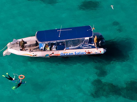Jungle Tours And Trekking - Accommodation Broome 5