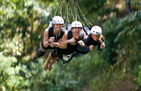 AJ Hackett Cairns - Accommodation Broome 4