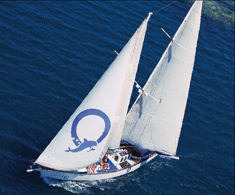 Ocean Free & Ocean Freedom - Cairns Premier Reef And Island Tours - Accommodation Broome 0