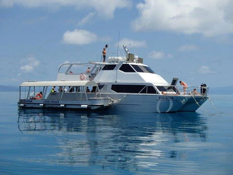 Ocean Free & Ocean Freedom - Cairns Premier Reef And Island Tours - Accommodation Broome 1