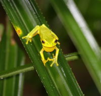 Daintree River Cruise Centre - Accommodation Broome