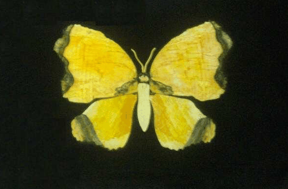 Ashworths - Accommodation Broome 0