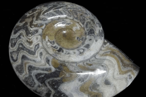 Ashworths - Accommodation Broome 2