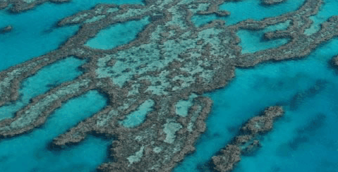 Abel Point Marina - Accommodation Broome 4