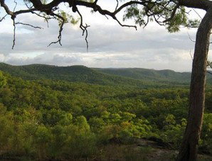 Cooktown Aboriginal Art Tours - Accommodation Broome 1