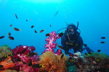 Adrenalin Snorkel And Dive - Accommodation Broome 3