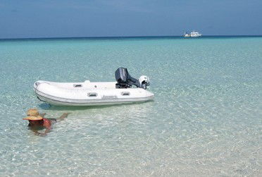 Adrenalin Snorkel And Dive - Accommodation Broome 4