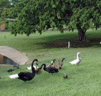 Anzac Park and Ululah Lagoon - Accommodation Broome