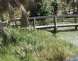 Australia Fraser Island Escape - Accommodation Broome 1