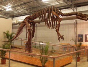 Australia's Dinosaur Trail - Accommodation Broome 0