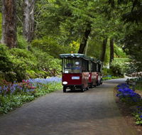 Araluen Botanic Park - Accommodation Broome
