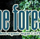 Forest Cafe  Bar - Accommodation Broome