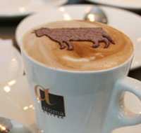 Brown Cow - Accommodation Broome