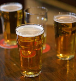 The Greville - Accommodation Broome 1