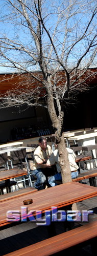 Alma Tavern - Accommodation Broome 2