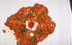 Jewel Of India - thumb 1