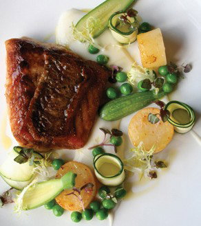 Mondo Organics Restaurant - Accommodation Broome 5