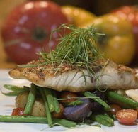 Queens Arms Hotel - Accommodation Broome