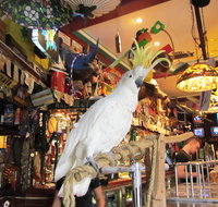A Friend In Hand - Accommodation Broome