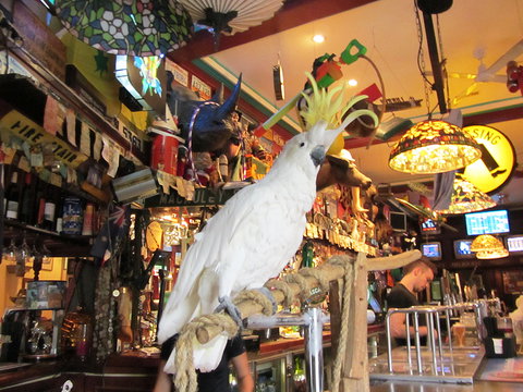 A Friend In Hand - Accommodation Broome 0