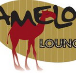 Camelot Lounge - Accommodation Broome