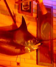 Joes Fish Shack - Accommodation Broome 3