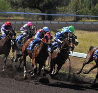 Alice Springs Turf Club - Accommodation Broome