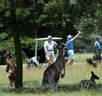 Glen Innes Golf Club - Accommodation Broome