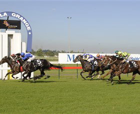 Kembla Grange Racecourse - Illawarra Turf Club - Accommodation Broome 0