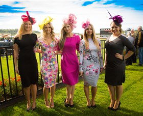 Kembla Grange Racecourse - Illawarra Turf Club - Accommodation Broome 4