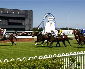 Kembla Grange Racecourse - Illawarra Turf Club - Accommodation Broome 1