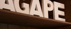 Agape Organic Restaurant & Bar - Accommodation Broome 0